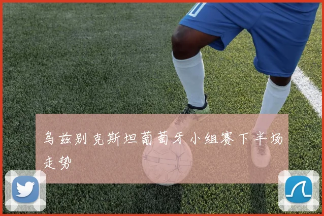 乌兹别克斯坦葡萄牙小组赛下半场走势