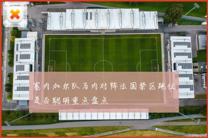 塞内加尔队马内对阵法国禁区跑位是否聪明重点盘点