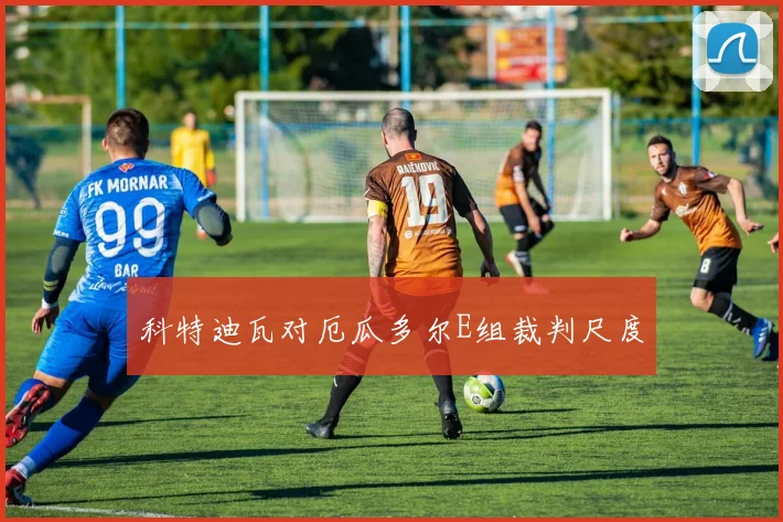 科特迪瓦对厄瓜多尔E组裁判尺度