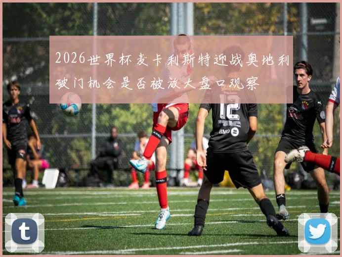 2026世界杯麦卡利斯特迎战奥地利破门机会是否被放大盘口观察