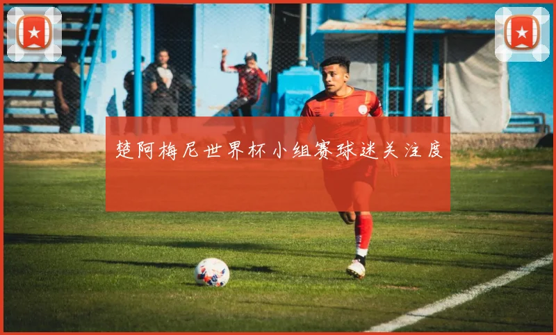 楚阿梅尼世界杯小组赛球迷关注度