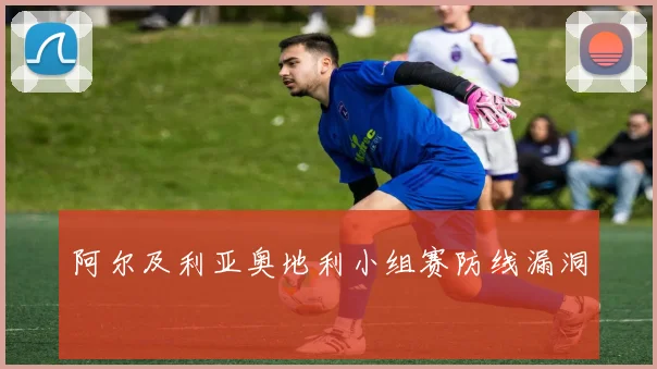 阿尔及利亚奥地利小组赛防线漏洞